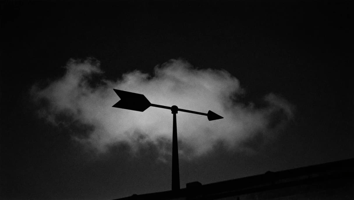 An iron weathervane against a dark sky, a black and white image about a prediction that turned a whole profession away